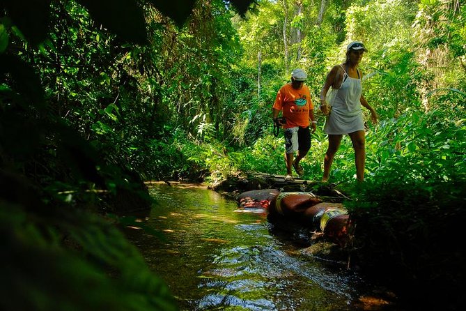 Waterfalls and Cachaça Distillery Jeep Tour - Serra do Mar and the waterfalls near Cunha
