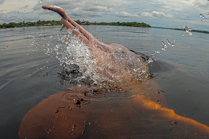 Welcome To the Jungle 5D/4N At Tapiri Rio Negro Lodge - Local life and narrow waterways on day three