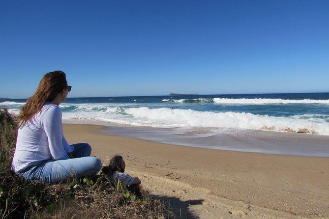 Whale Watching – Whale watching from land - Why land-based whale watching works here