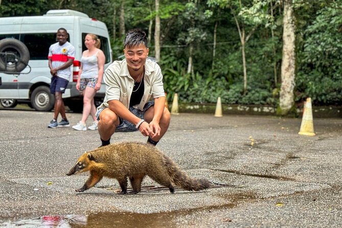 Wildlife viewing and excursion at Pedra Bonita. - Emperor’s Table Adds a Quieter Viewpoint