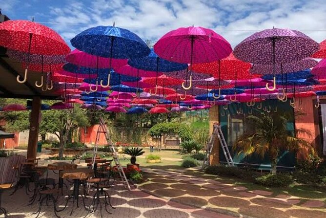 Wine Tour in São Roque by Car, Tour with Local Guides - Why São Roque makes a good wine escape from São Paulo