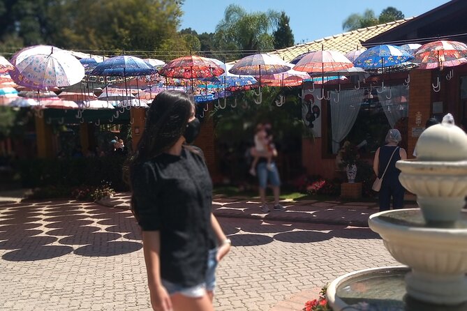 Wine Tour in São Roque by Car, Tour with Local Guides - A six-hour route built around your preferences